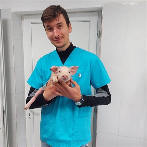 Dr Aleksandar - Veterinarska Ambulanta