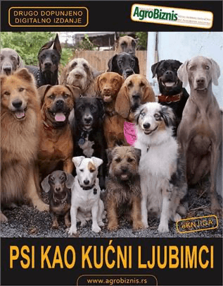 Psi kao kućni ljubimci 1